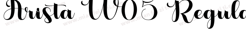 Arista W05 Regular字体转换